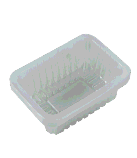 Bandeja Plástica Transparente 1050ml 20x14x6,5cm - 10 Unidades