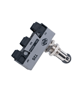 Microrruptor de Acionamento da Bomba para CCVS 800 (DZ 800) FM1308 - 15A